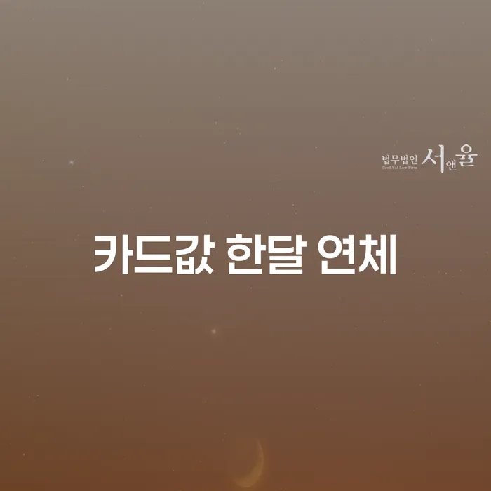 진주시 나홀로개인회생 카드빚 연체 알아봐야 할 사항