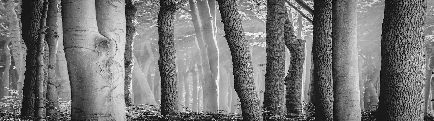 법무법인 서앤율